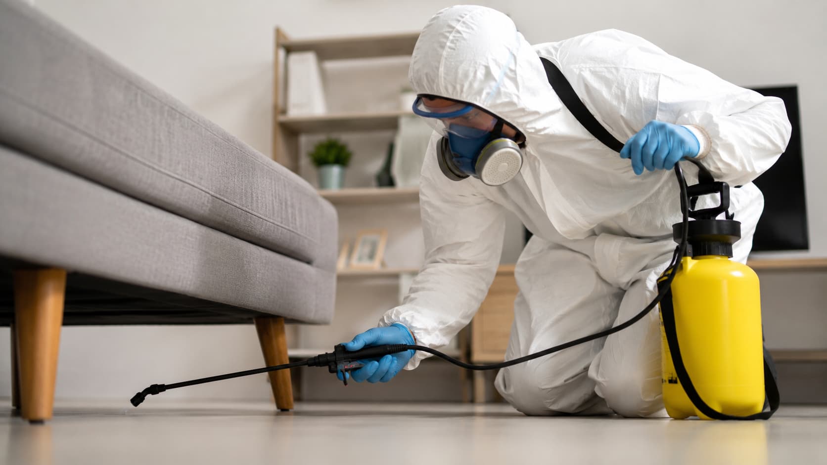 10 Best Emergency Pest Control Services in Cincinnati, Ohio (2026)