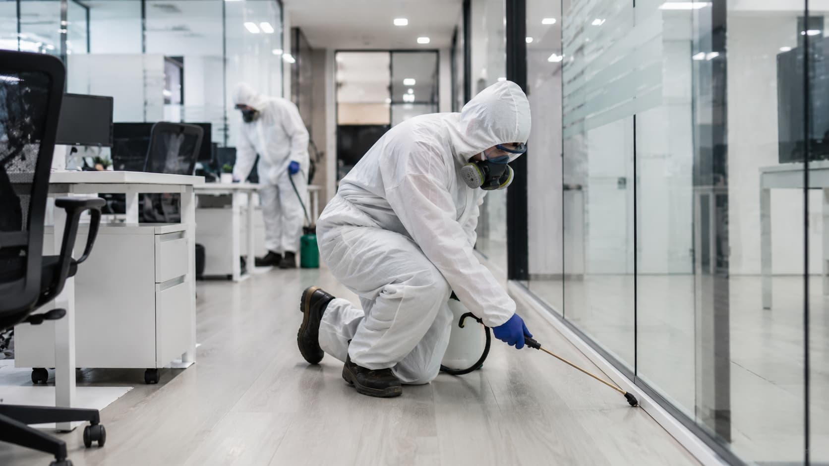 7 Best Emergency Pest Control Services in Akron, Ohio (2026)