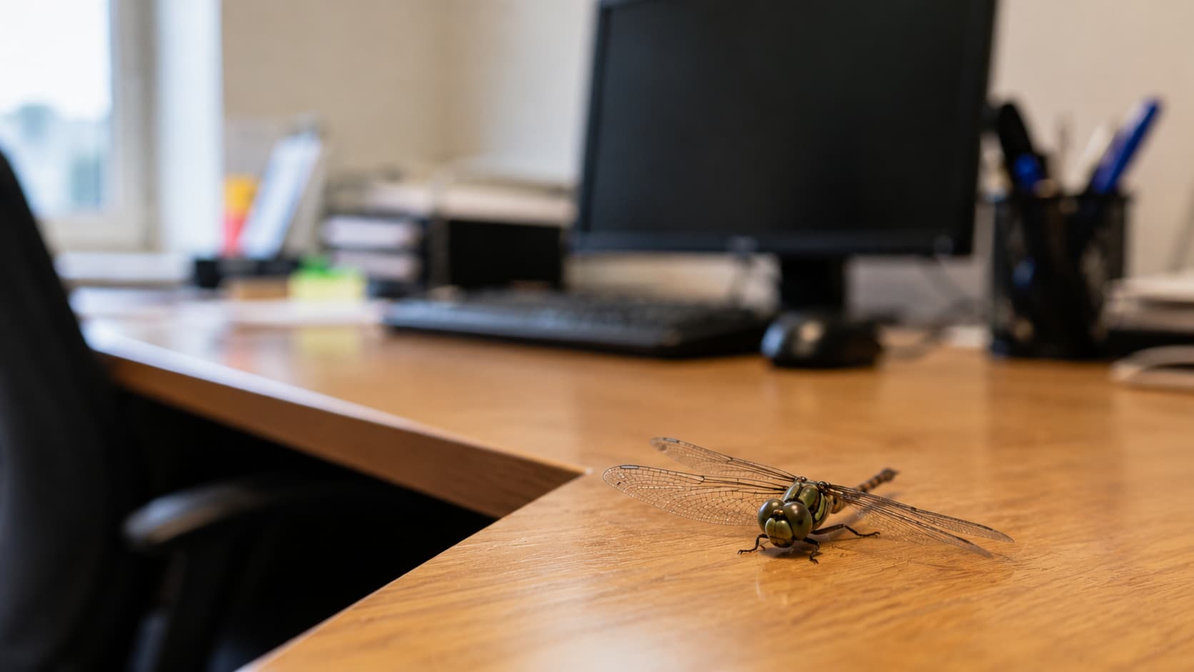 8 Best Insect Removal Services in Akron, Ohio (2026)
