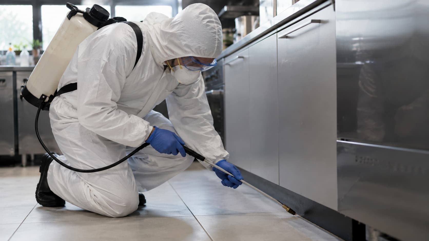 5 Best Emergency Pest Control Services in Columbus, Ohio (2026)