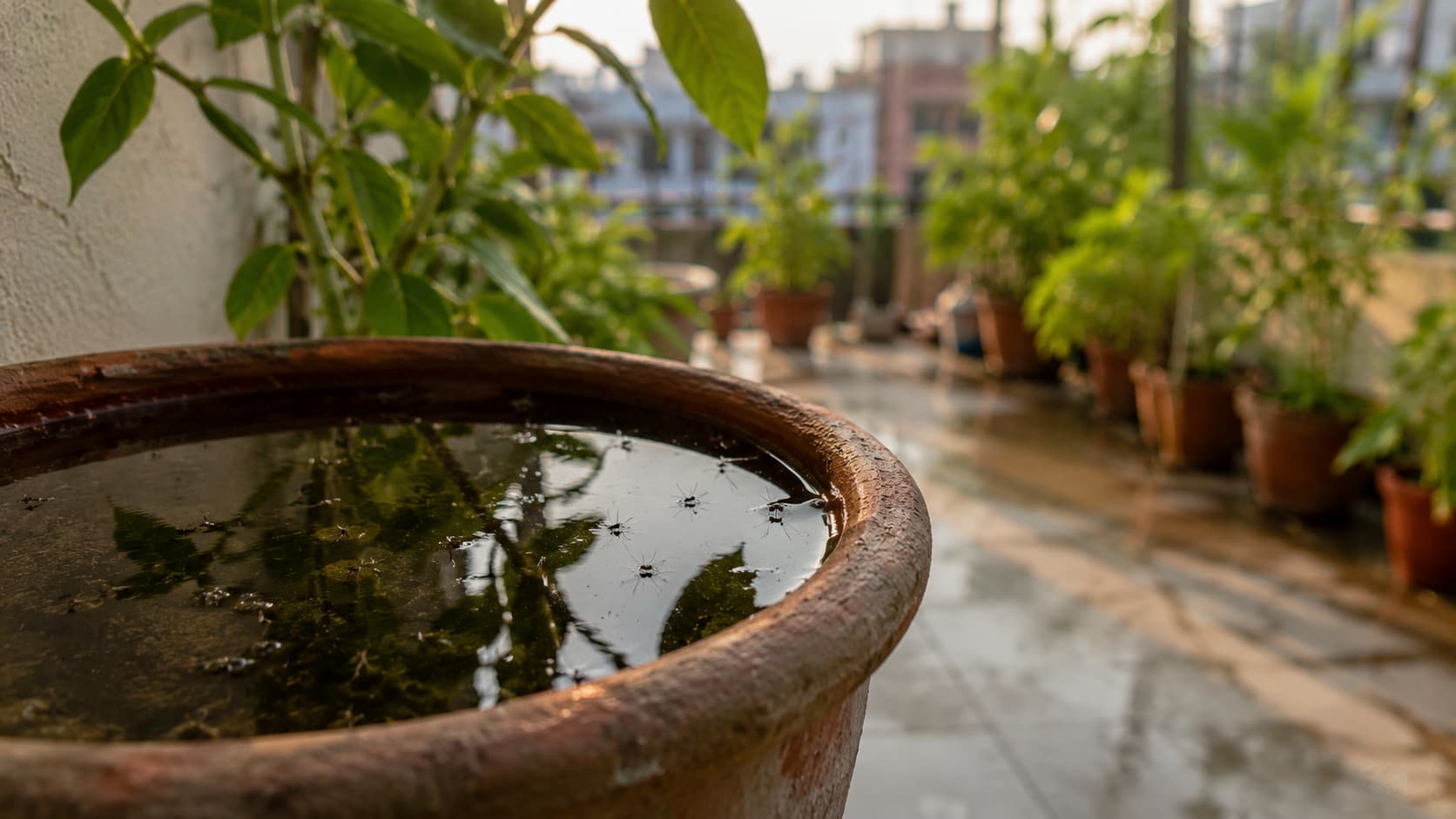 9 Best Mosquito Control Services in Columbus, Ohio (2026)