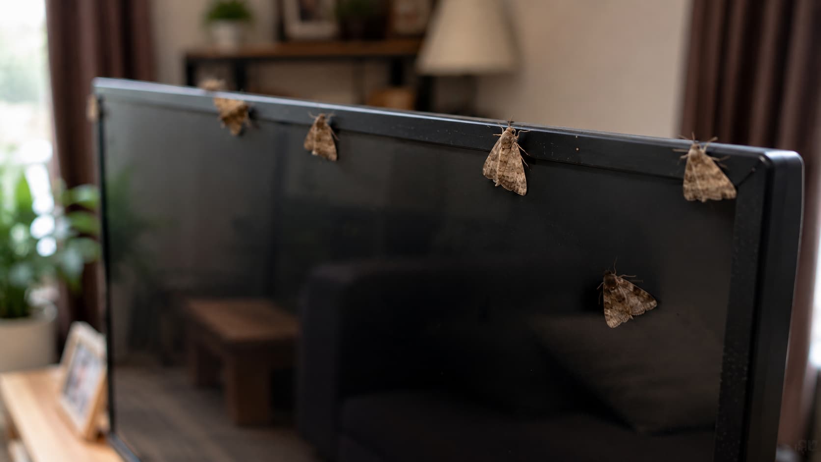 9 Best Lanternfly Exterminator Services in Provo, Utah (2026)