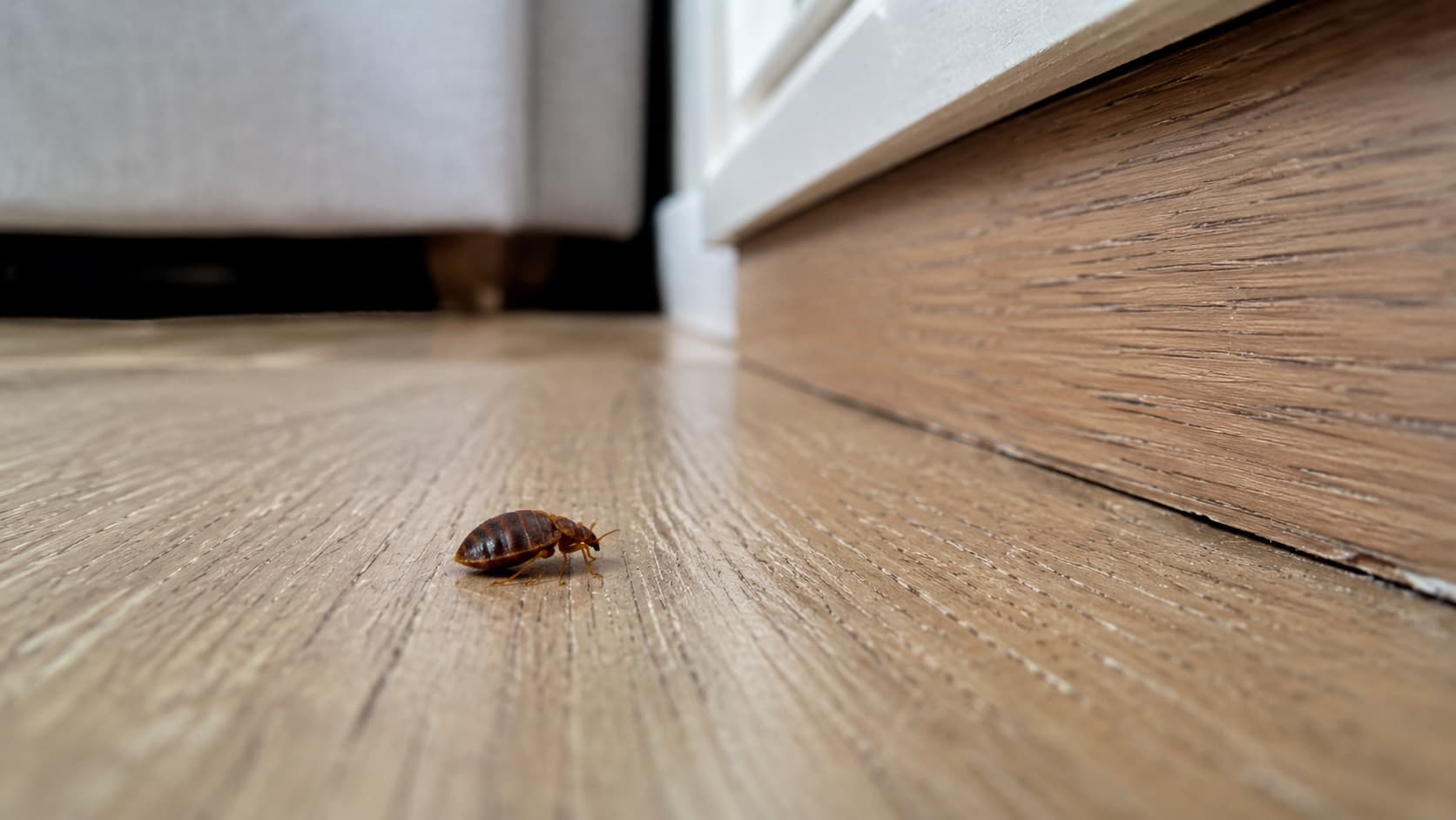 7 Best Bed Bug Exterminator Services in Ogden, Utah (2026)