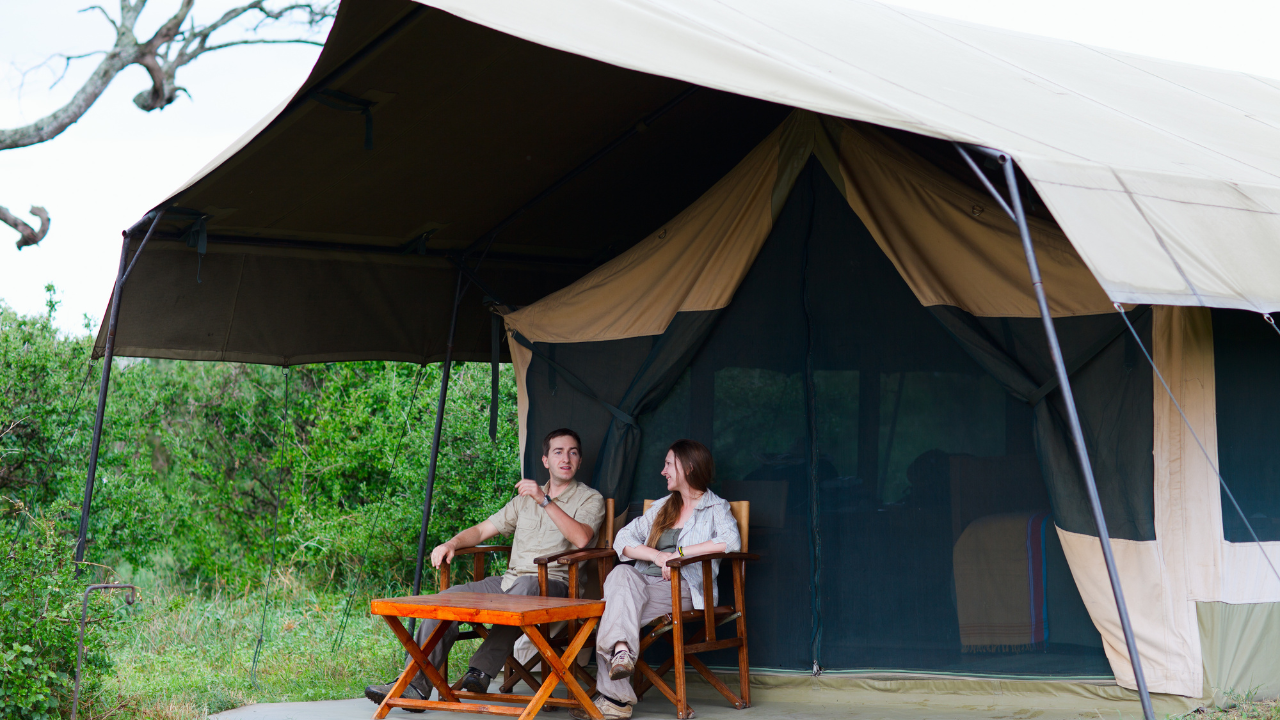 Nambiti vs Zululand Rhino Reserve: Which Safari Fits Your Style?