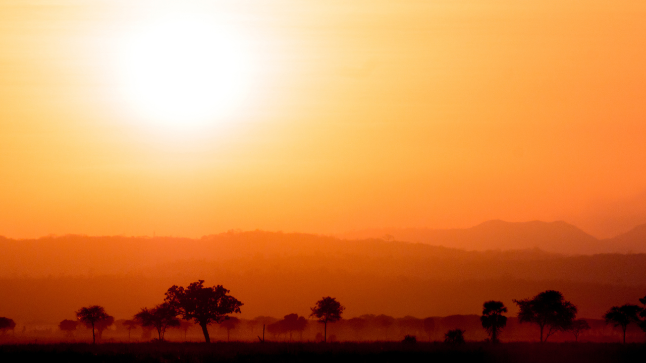 Tembe Elephant Park vs iSimangaliso: Which Northern KZN Experience Is Better?