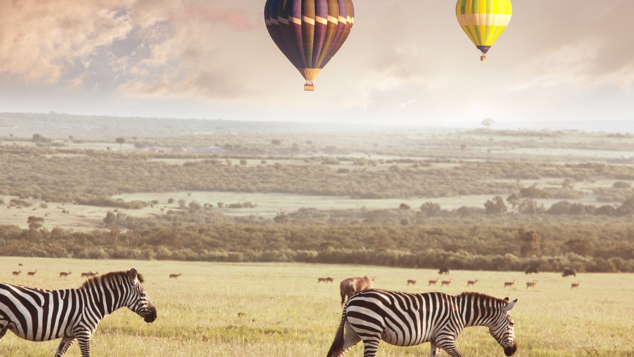 Luxury Safari Lodge vs Traditional Game Reserve Experience