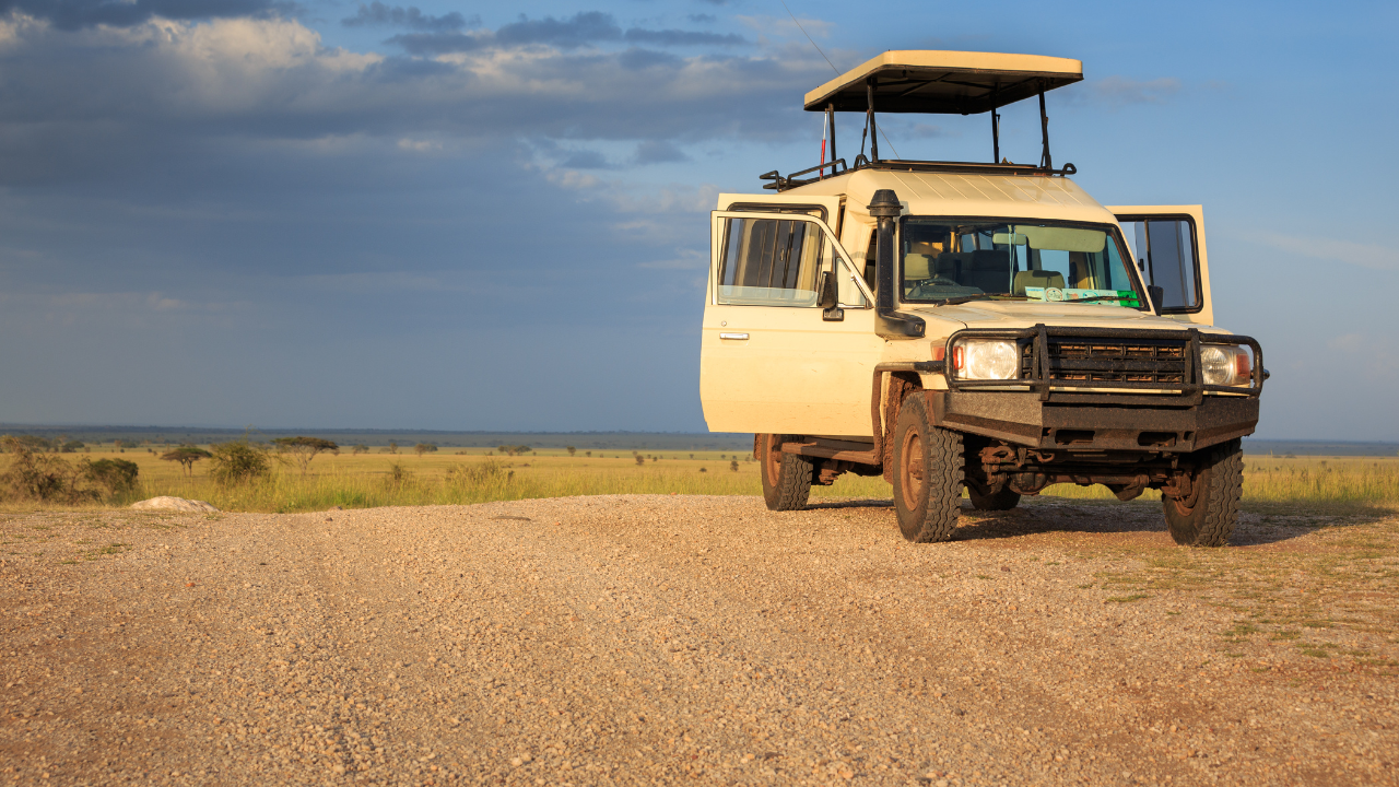 Which KZN Safari Is Best for First-Time Visitors?