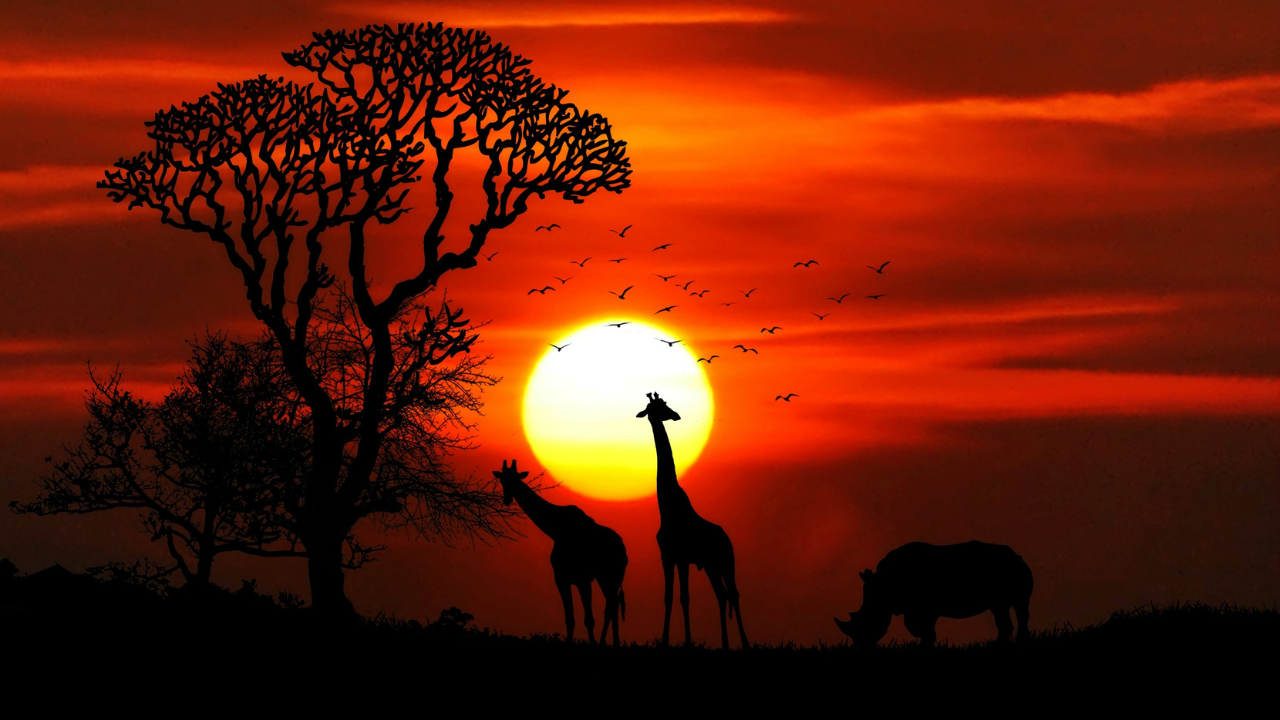 Which KZN Safari Is Best for Couples?