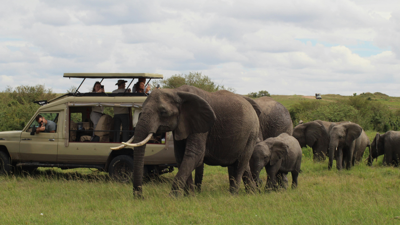 Complete Guide to Hluhluwe-iMfolozi & Zululand Safaris