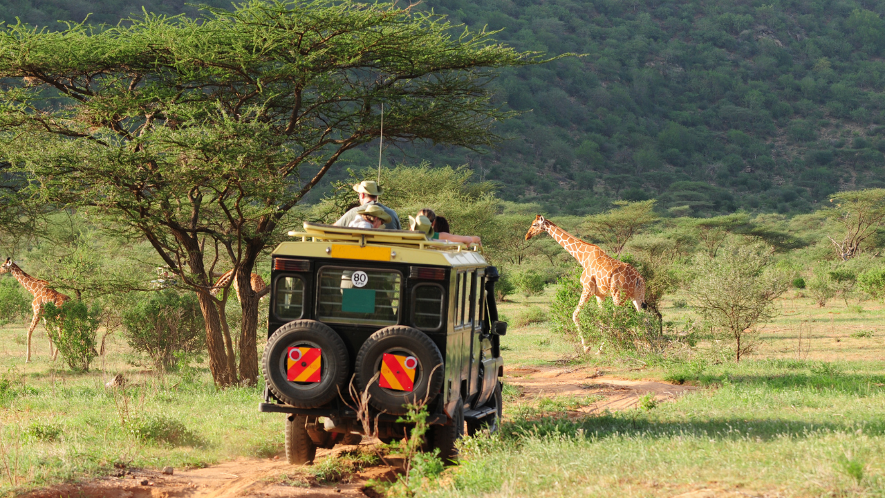 Complete Guide to Elephant Coast Safaris in KZN
