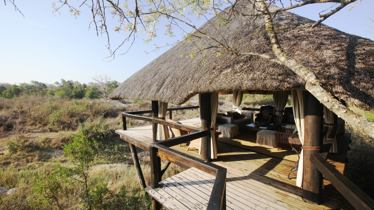 Best Weekend Safari Trips from Durban: 8 Incredible Escapes for Wildlife Lovers