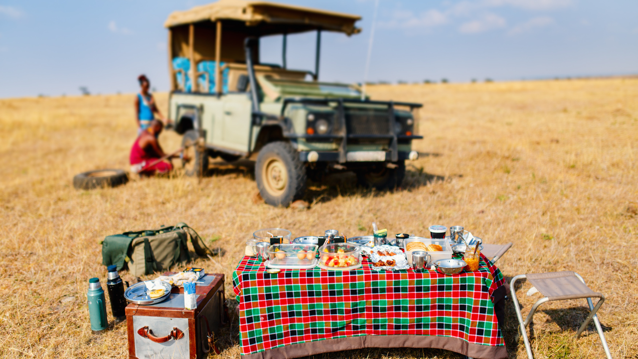 Best KZN Safari Road Trips: Scenic Routes, Big Five Parks & Unforgettable Wildlife Adventures