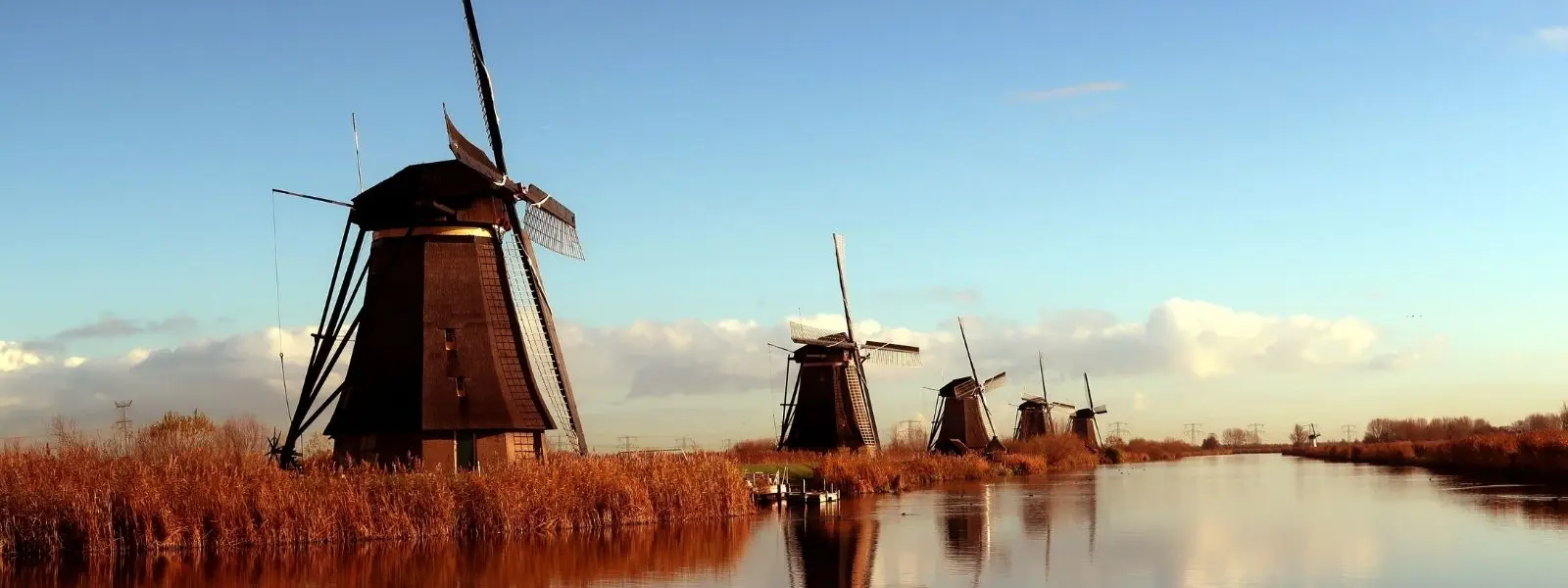 Dagtrip of activiteit in Nederland