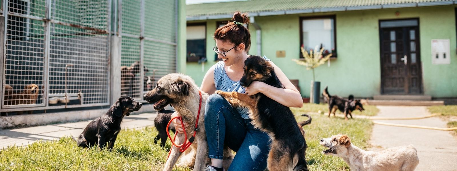 Dierenpension kiezen: waar let je op?