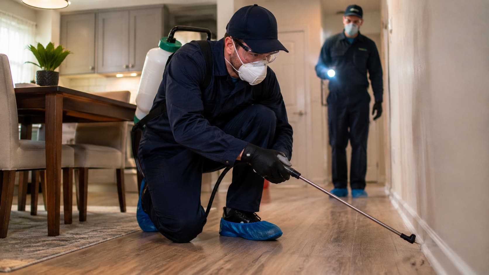 Emergency Pest Control Service in Lehi, UT (2026)