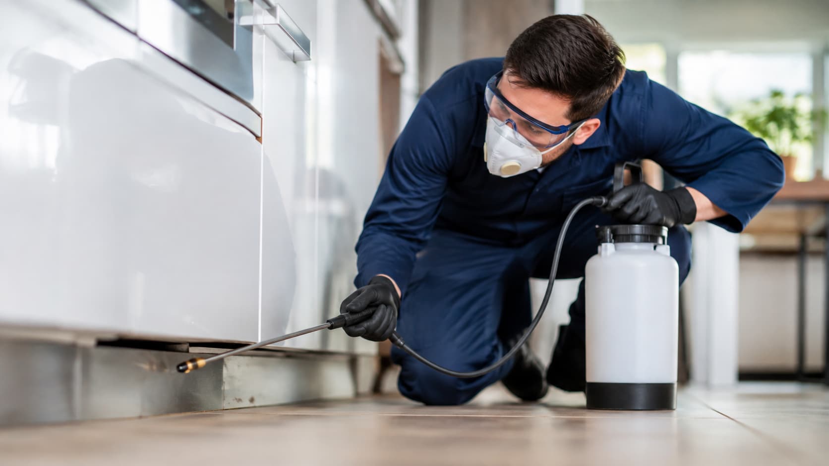 Insect Removal Service in Lehi, UT (2026)