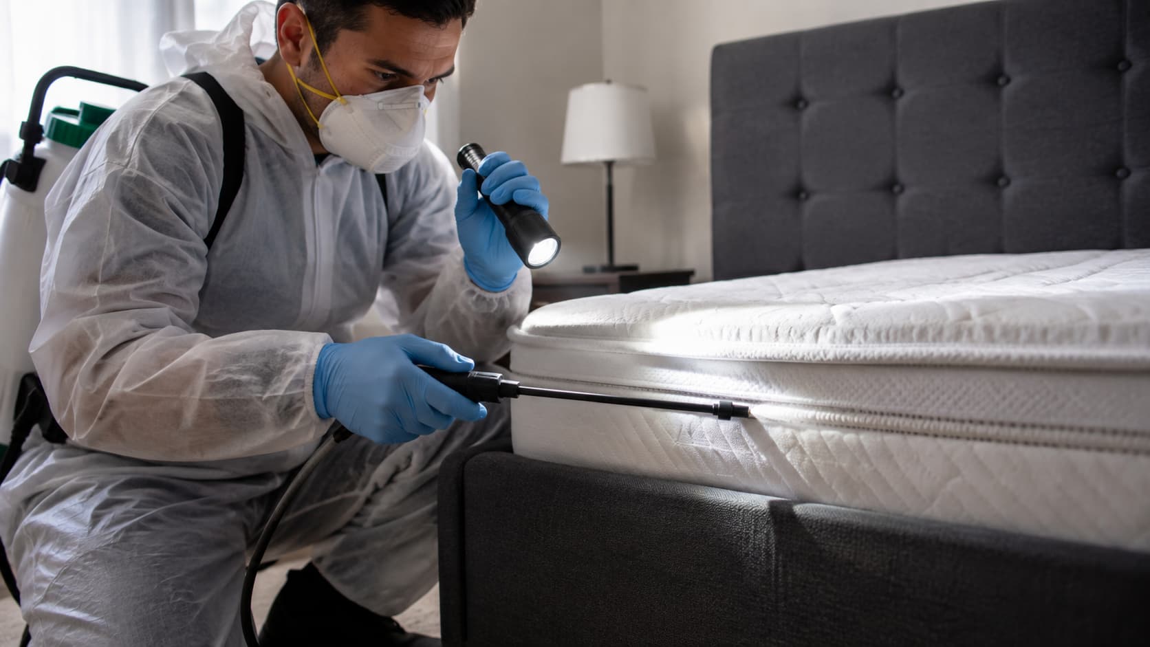 Bed Bug Exterminator Service in Orem, UT (2026)
