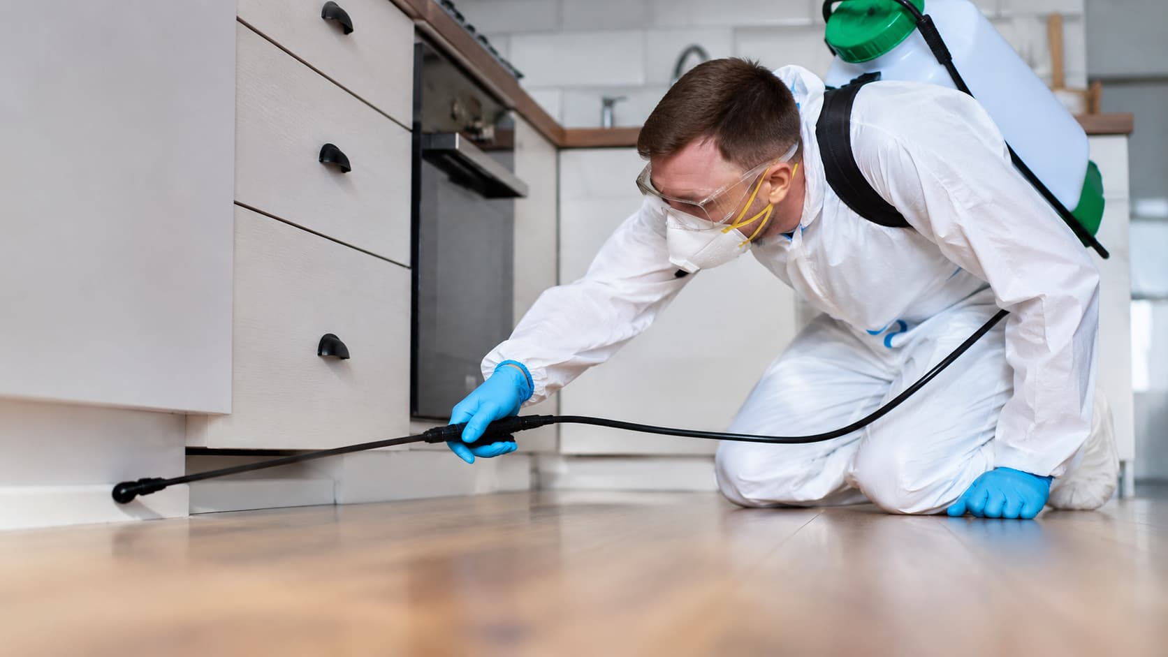 Insect Control Service in Sandy, UT (2026)