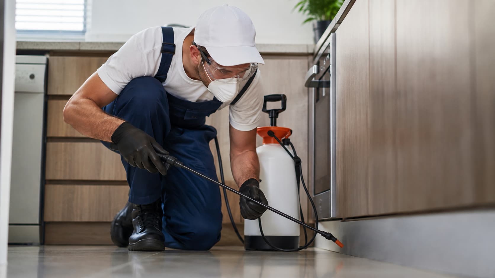Same Day Pest Control Service in Sandy, UT (2026)