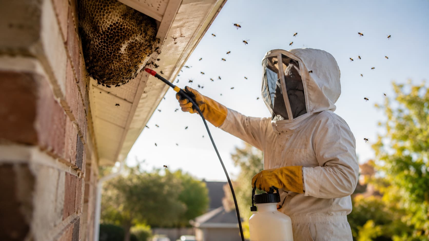 Bee Exterminator Service in Cedar City, UT (2026)