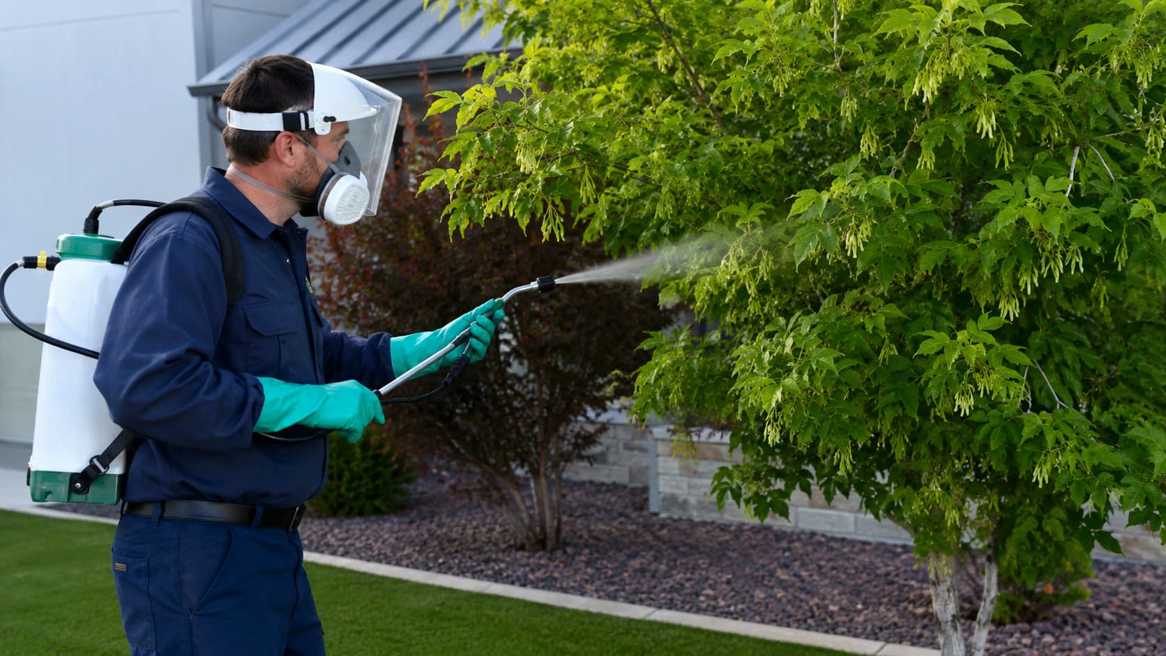 Box Elder Exterminator Service in Cedar City, UT (2026)