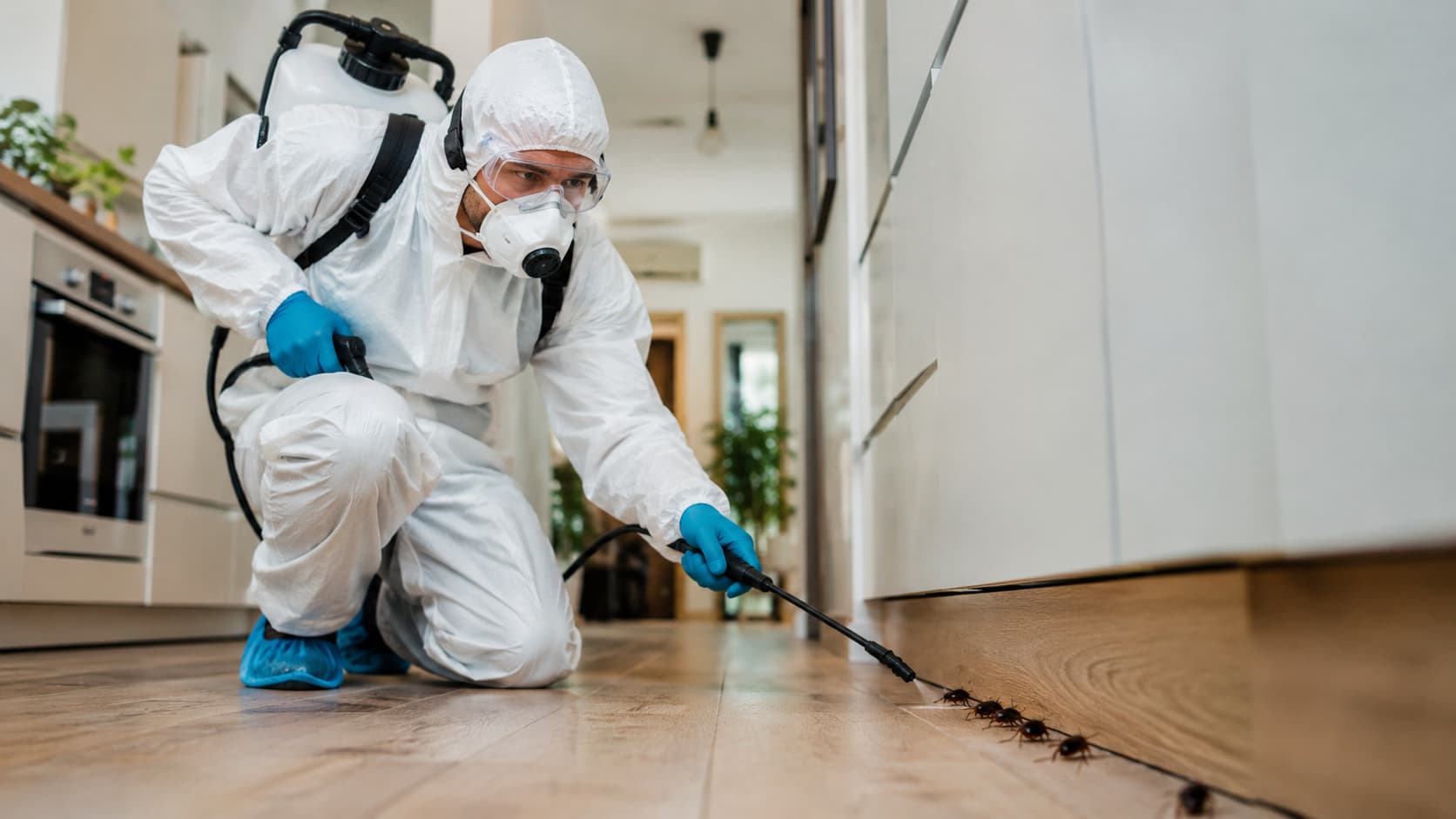 Emergency Pest Control Service in Cedar City, UT (2026)