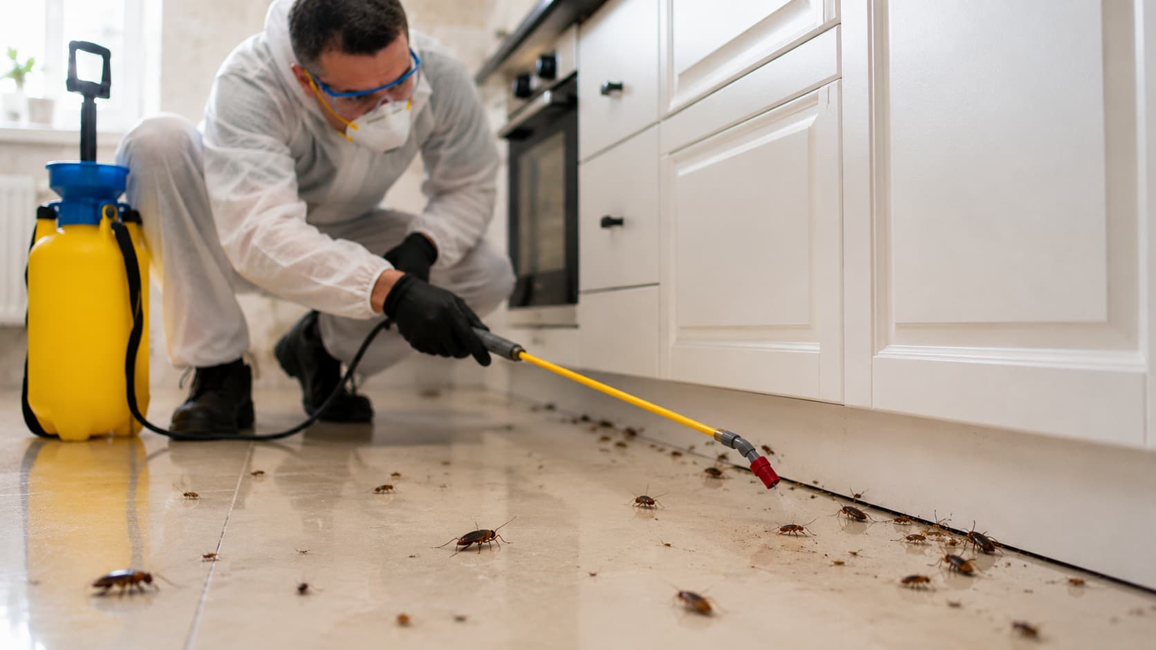 Insect Removal Service in Cedar City, UT (2026)