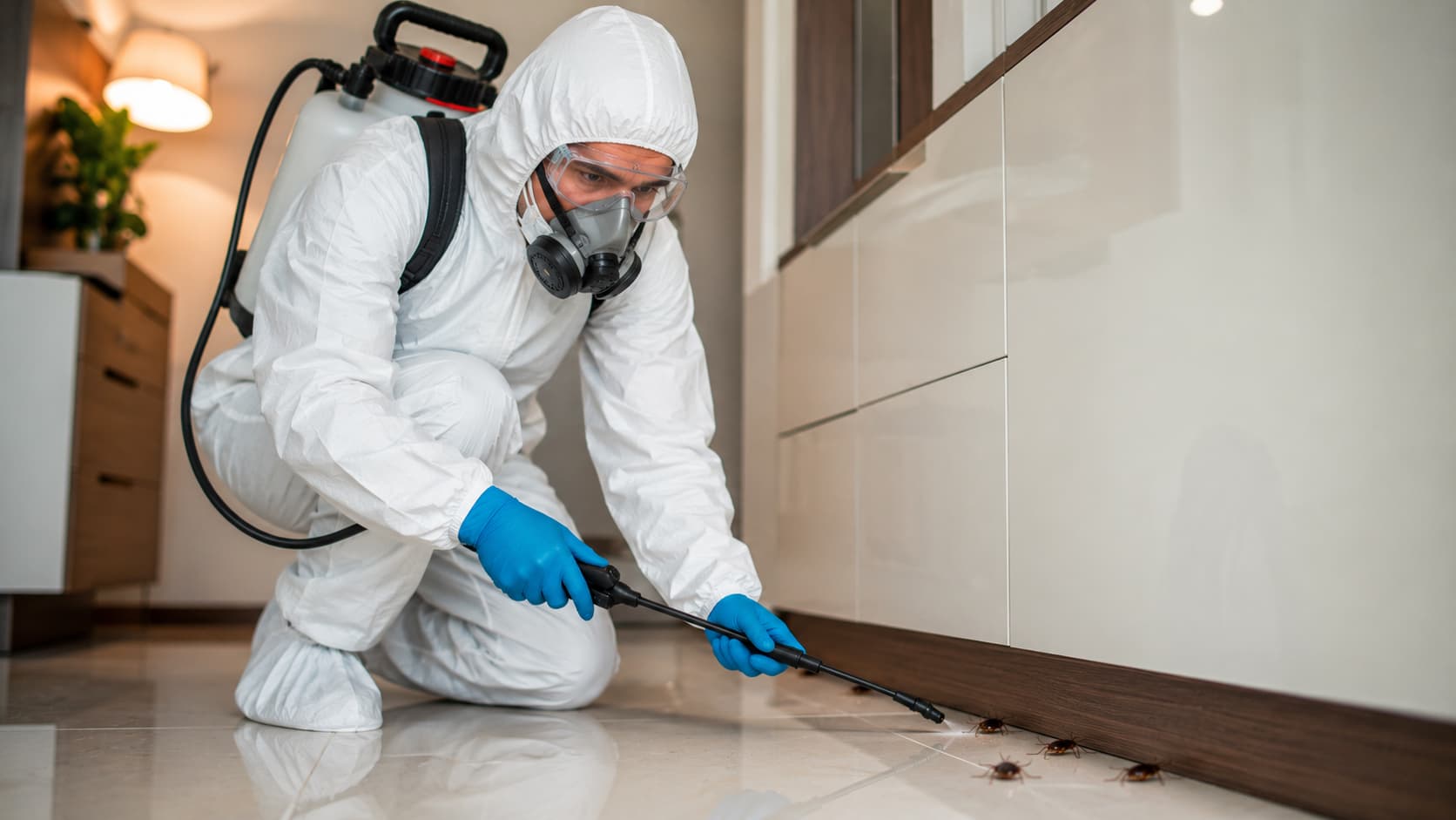 Emergency Pest Control Service in Layton, UT (2026)