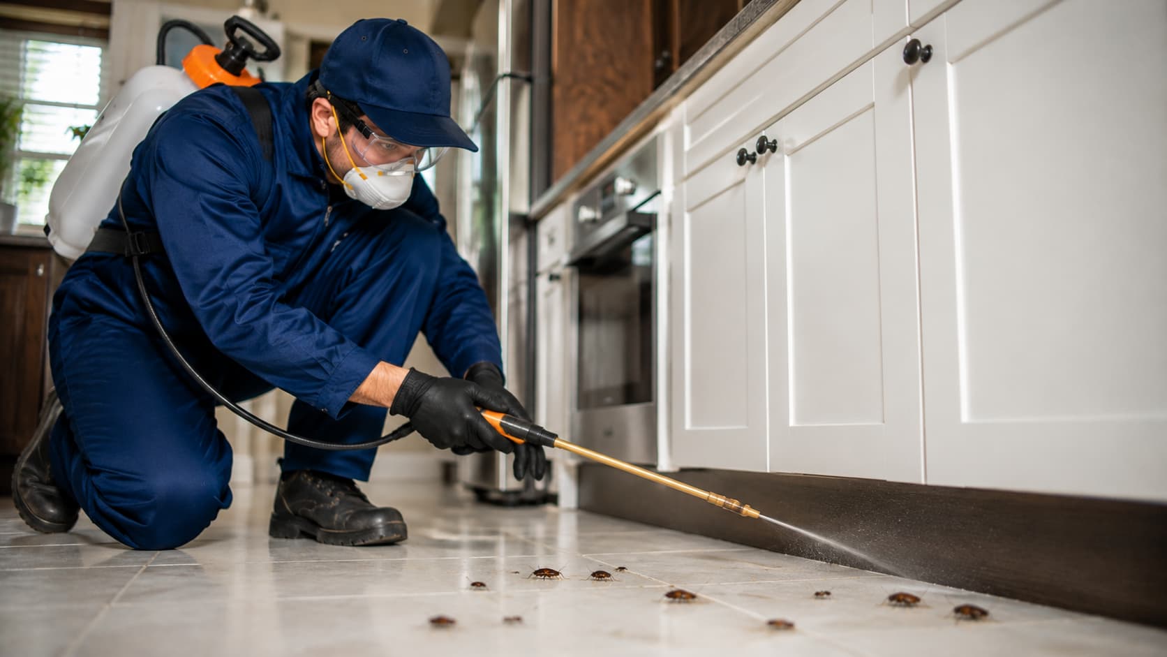 Insect Control Service in Layton, UT (2026)