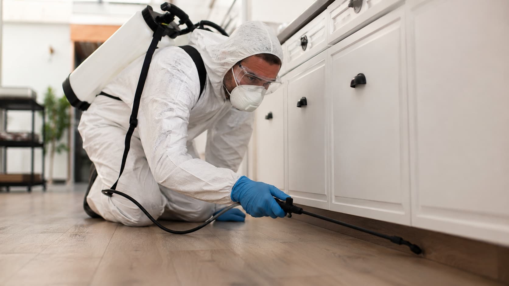 Insect Control Service in Toledo, OH (2026)