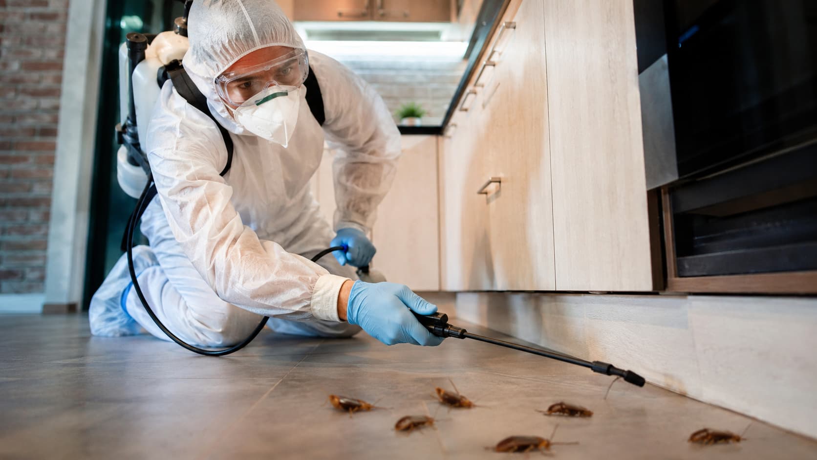 Cockroach Exterminator Service in Canton, OH (2026)