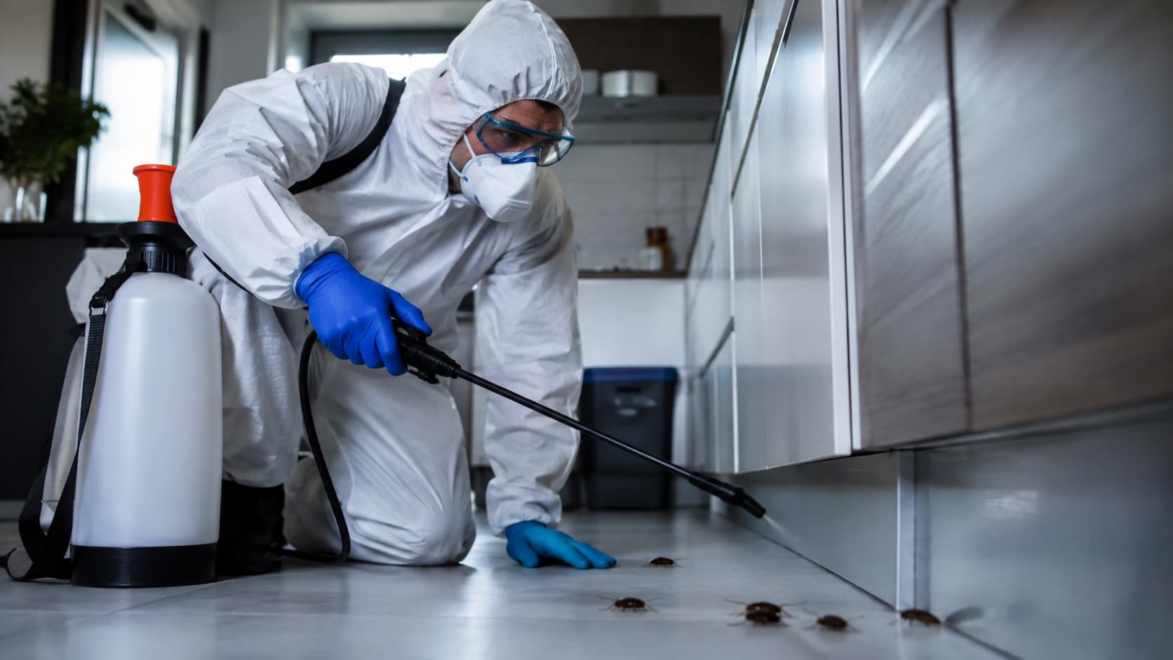 Emergency Pest Control Service in Canton, OH (2026)