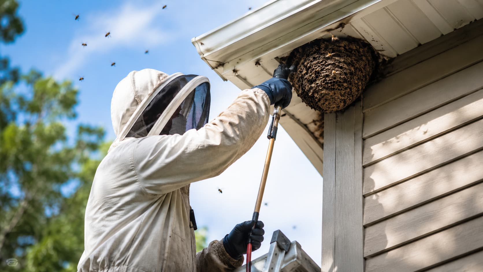 Bee Exterminator Service in Saratoga Springs, UT (2026)