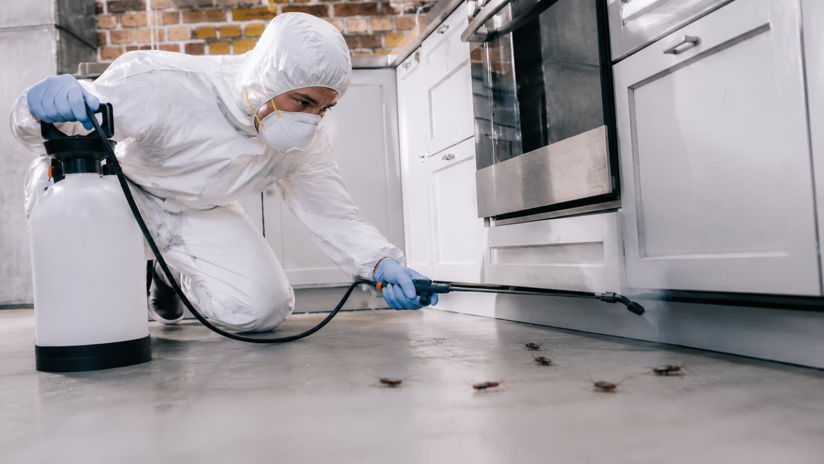 Cockroach Exterminator Service in Saratoga Springs, UT (2026)