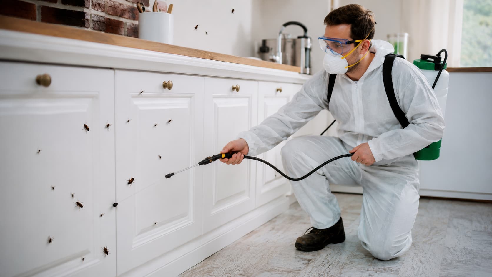Insect Control Service in Saratoga Springs, UT (2026)