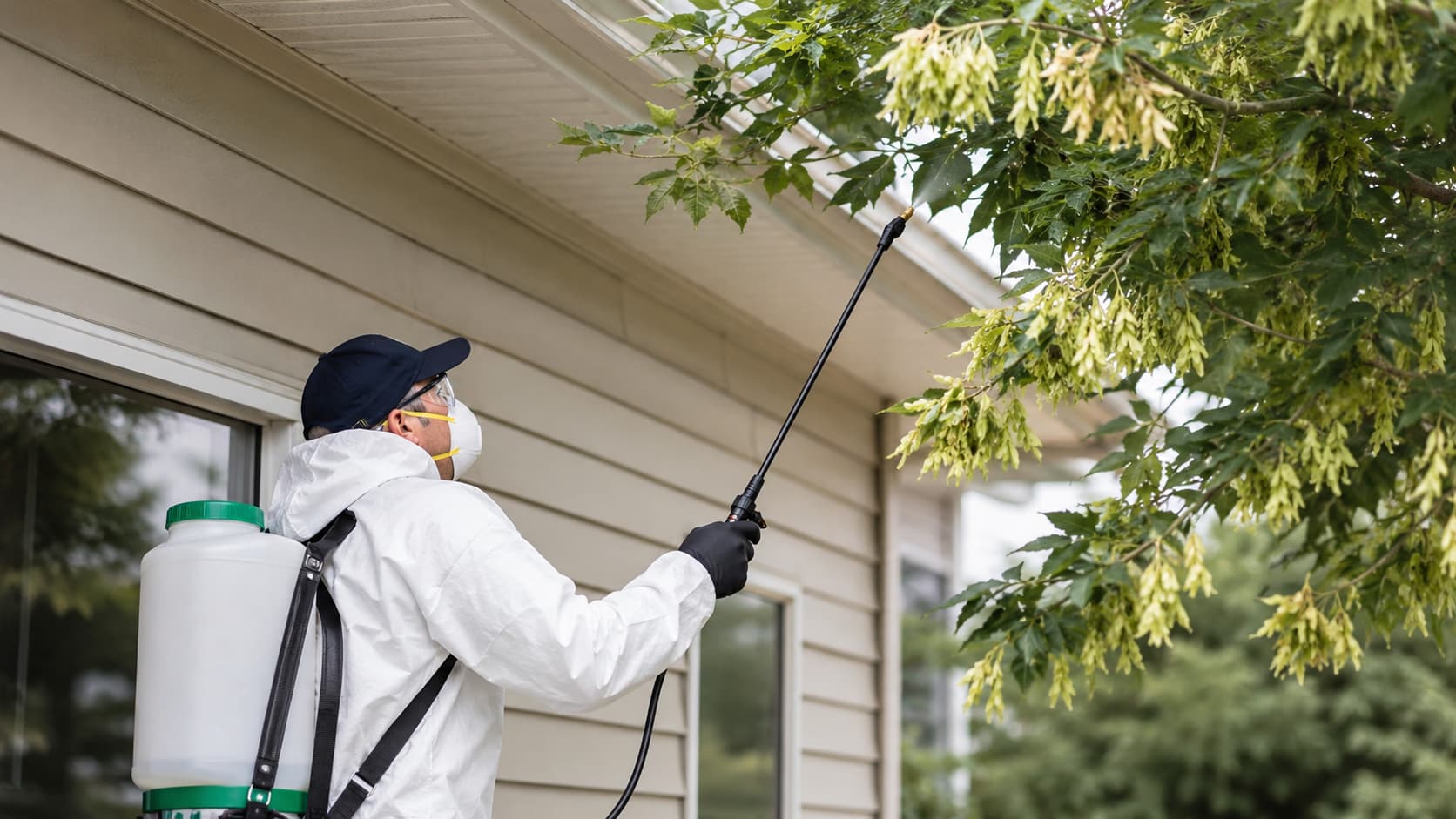 Box Elder Exterminator Service in Logan, UT (2026)