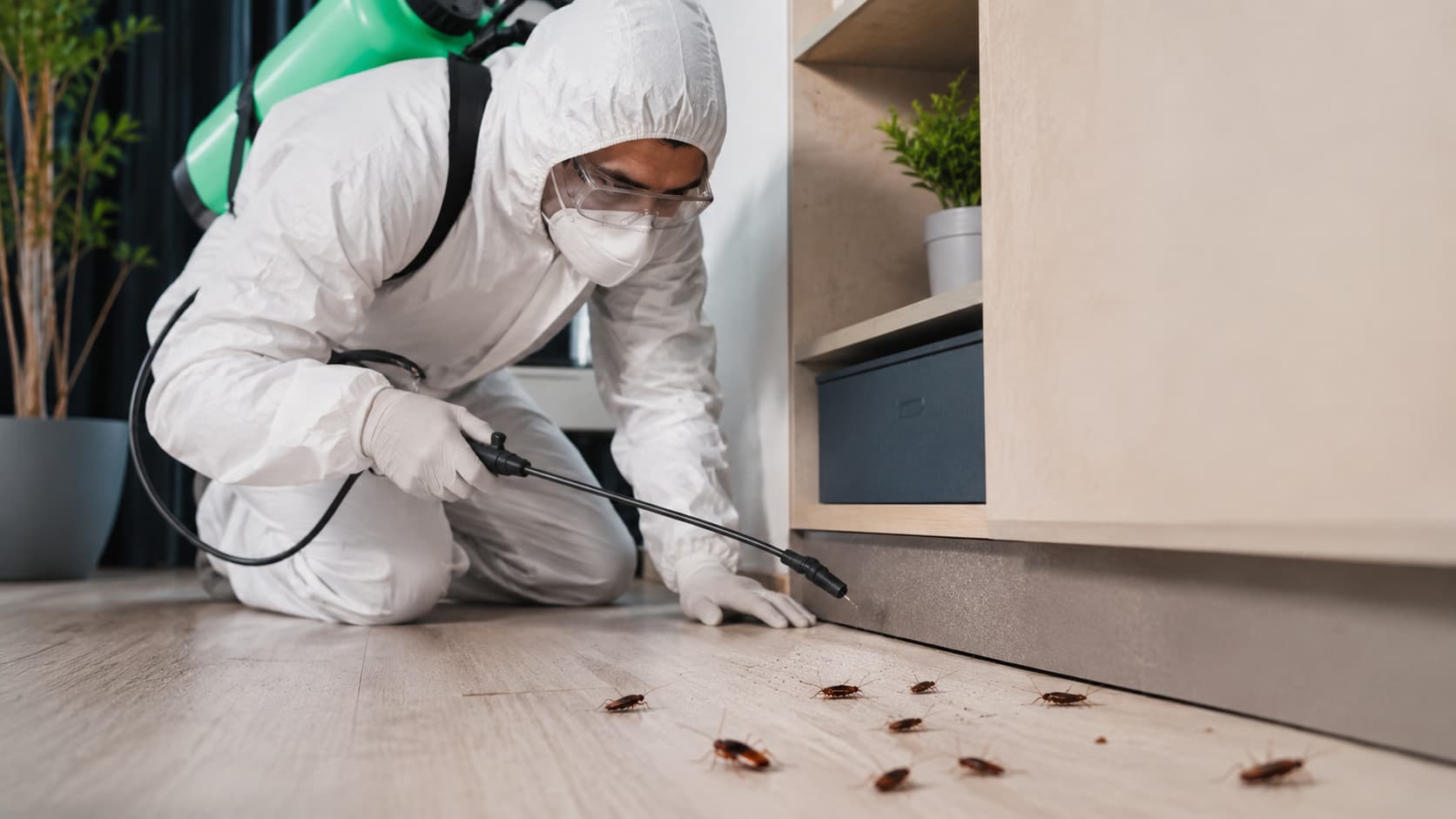 Cockroach Exterminator Service in Logan, UT (2026)