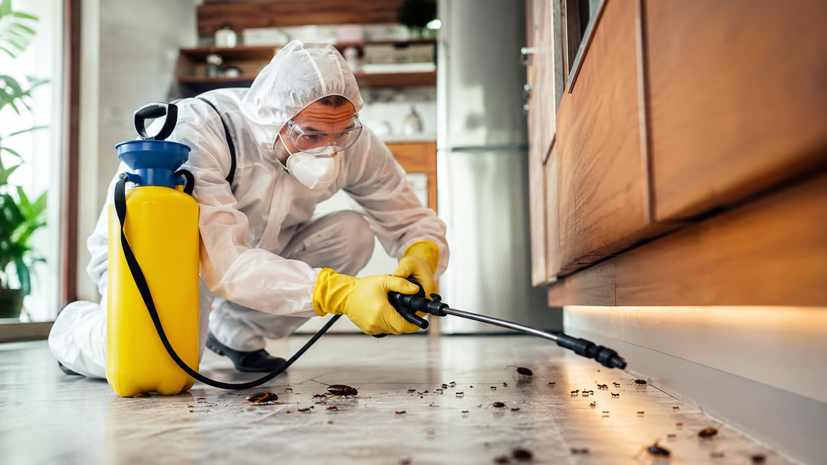 Emergency Pest Control Service in Logan, UT (2026)