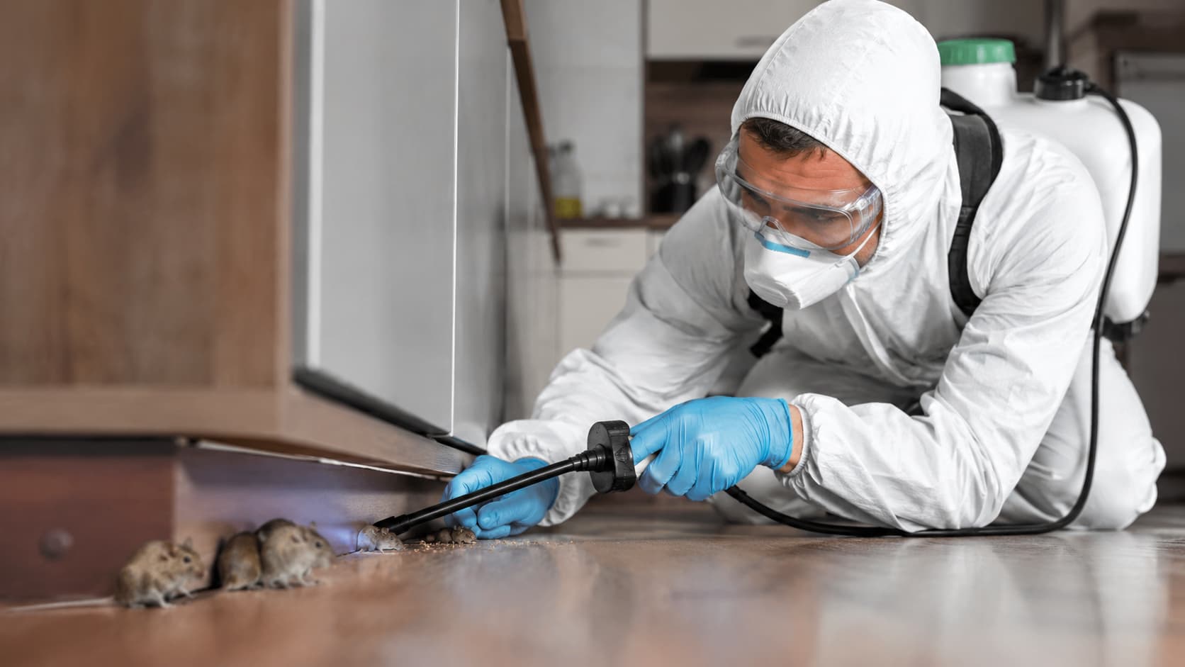 Mice Exterminator Service in Newark, OH (2026)