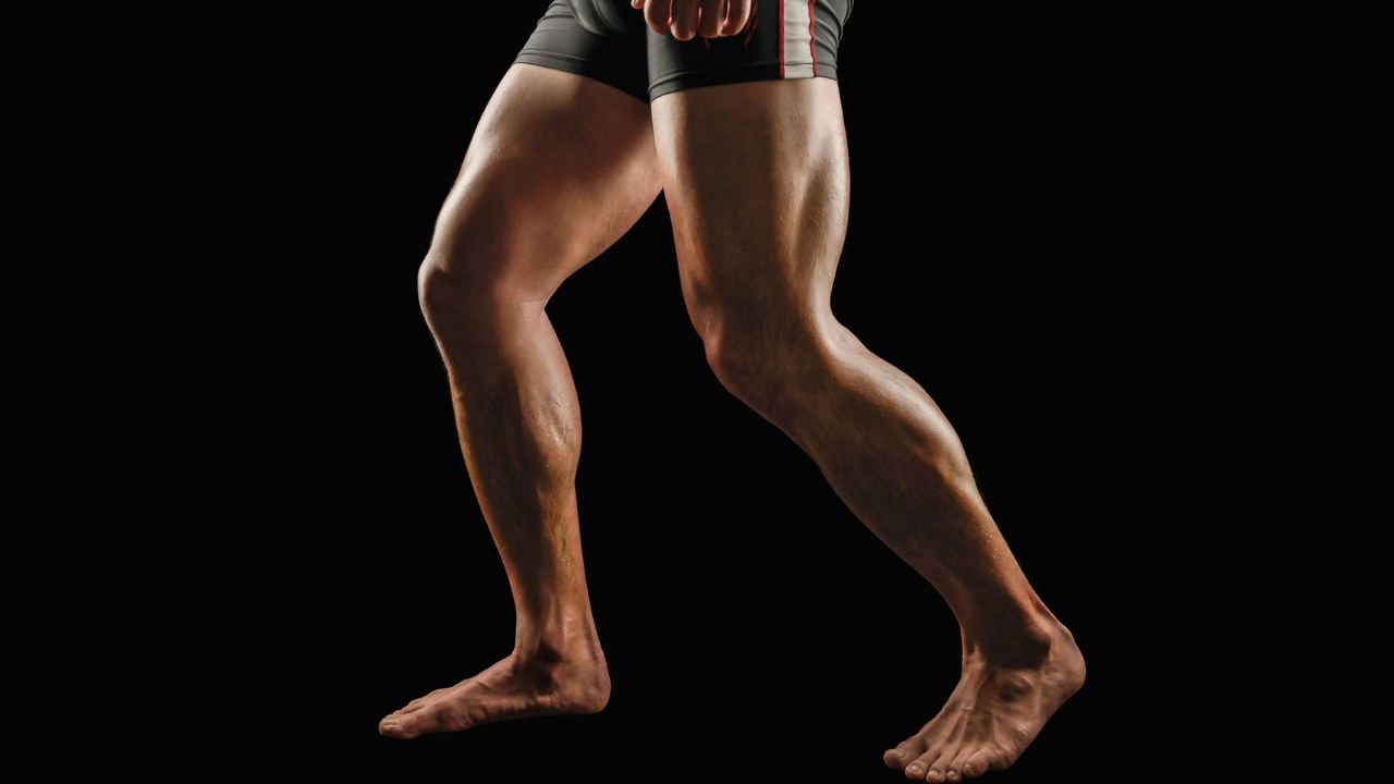 How Do Bodybuilding Divisions Work?