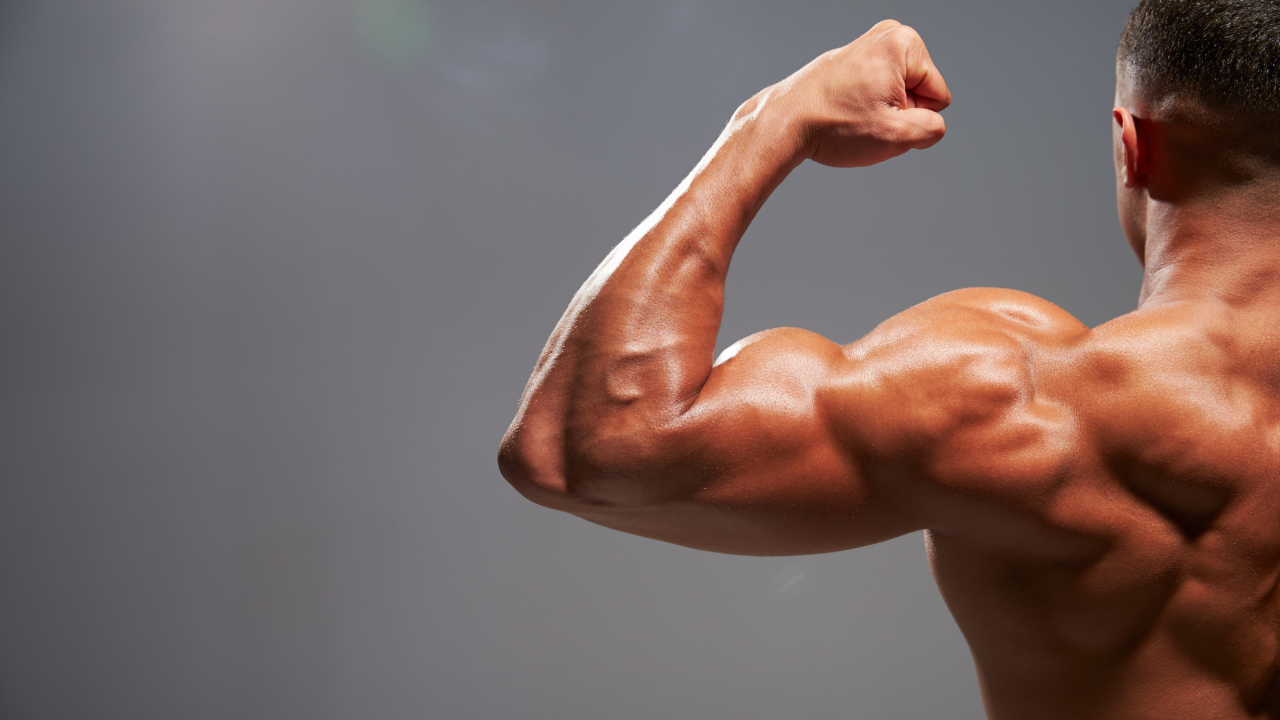 What Percent Body Fat Is Stage-Ready?