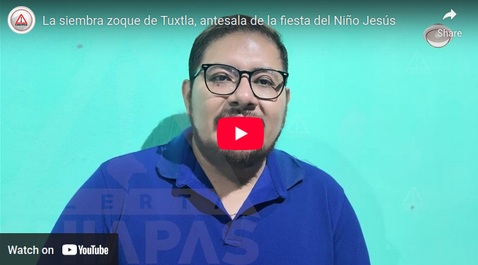  La siembra zoque de Tuxtla, antesala de la fiesta del Niño Jesús