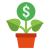 Financial Wellness
