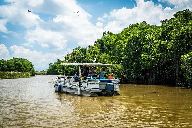 Black River Safari Tour