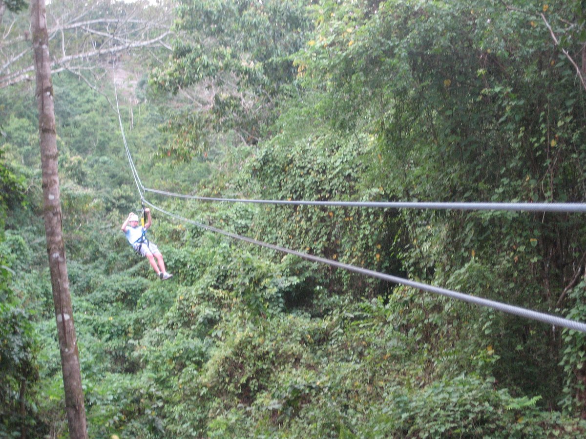 Zipline Adventure Tour