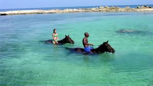 Horseback Riding Tour