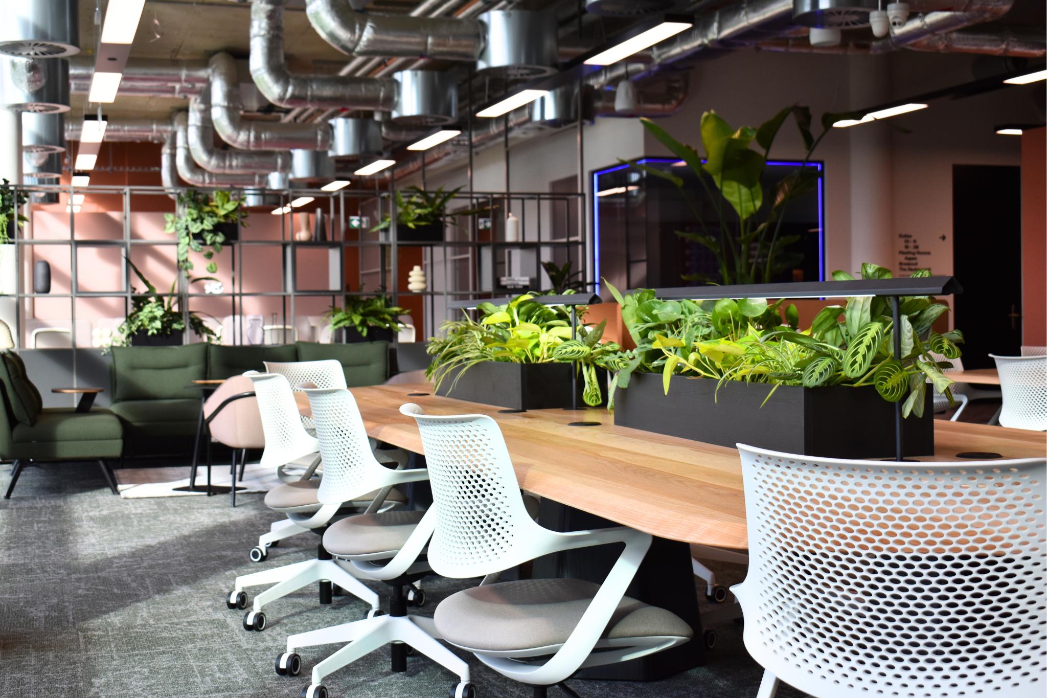 Coworking 