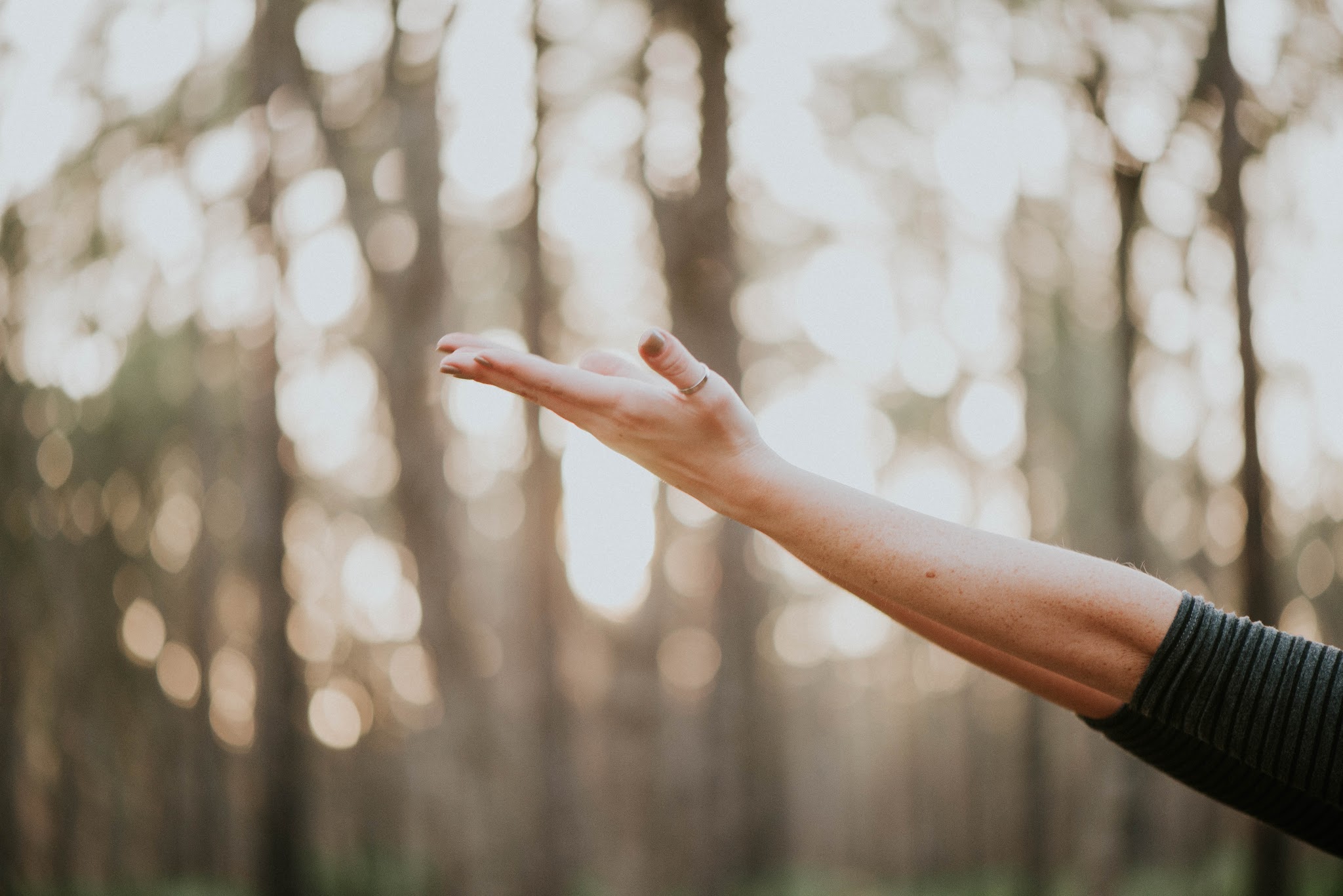 Yoga on Wheels