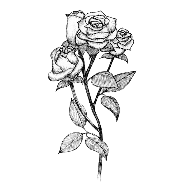 Bear's Blooms