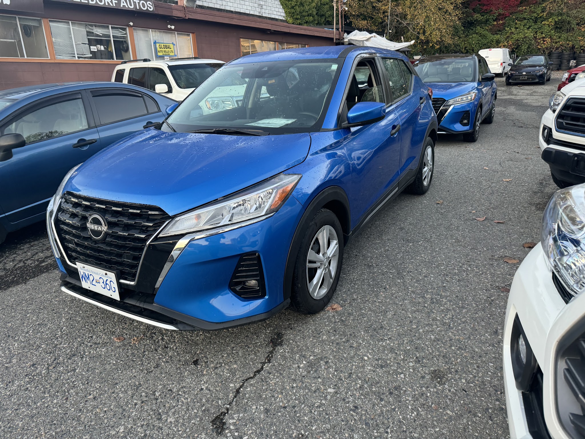 Lions Auto